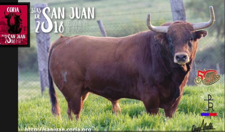 El toro Garagrito que ha provocado 4 heridos en los san juanes de Coria