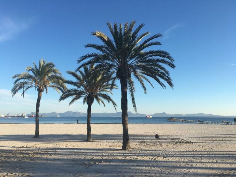 Alcúdia, archivo, recurso, playa, sol, verano, Mallorca, turismo