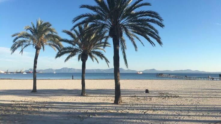 En Ruta: Alcúdia y Puerto de Alcúdia