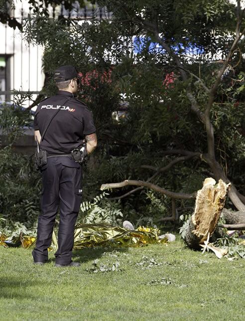 La rama, de 400 kilos, que causó la muerte a un hombre de 38 años en El Retiro.