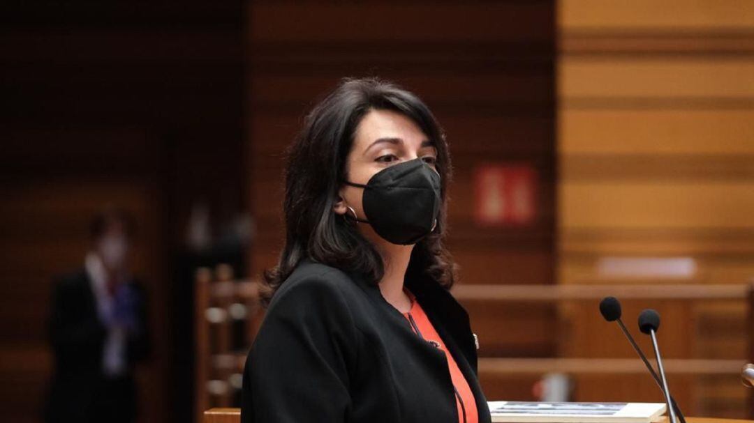 Alicia Palomo, procuradora socialista en la Cortes