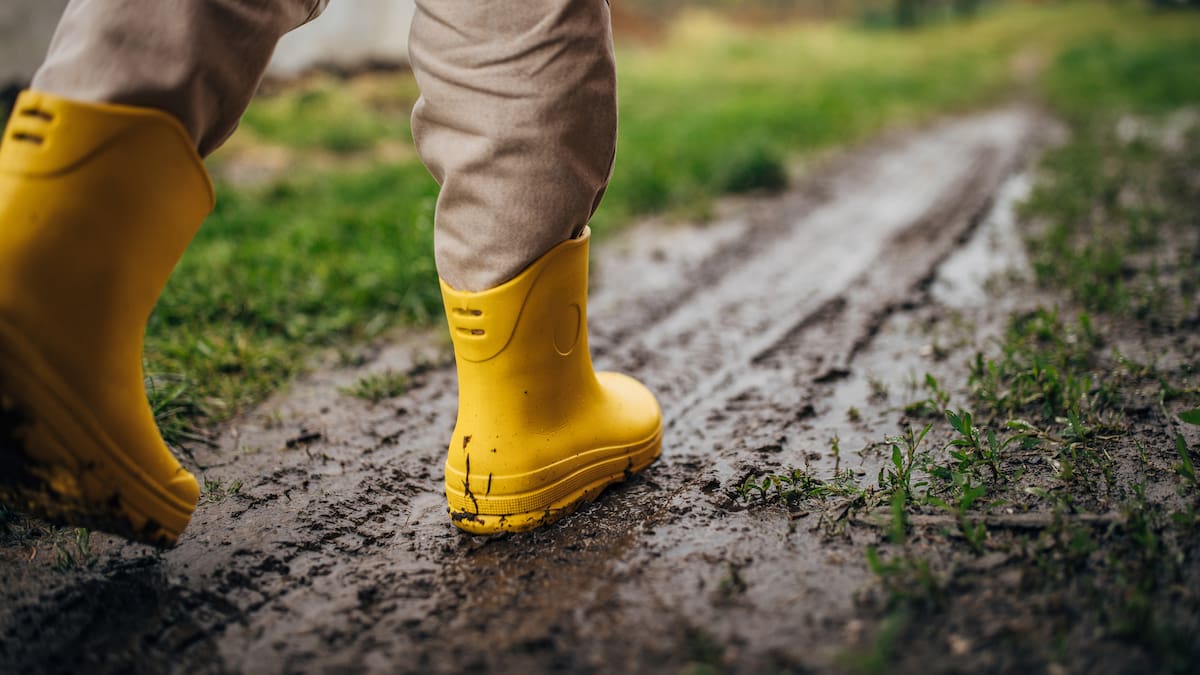 Entrevista a Isabel Plá, la gerente de "Més que Horta", habla de los beneficios de la lluvia en la agricultura.