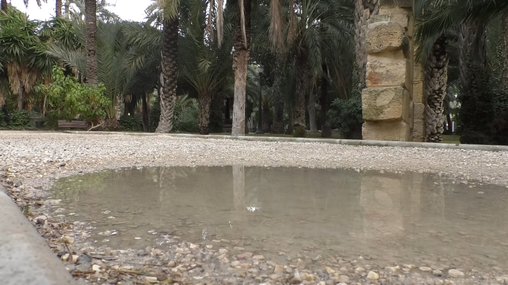 Lluvia en Elche