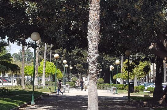 Jardín con el modelo de farolas que el Ayuntamiento va a reemplazar