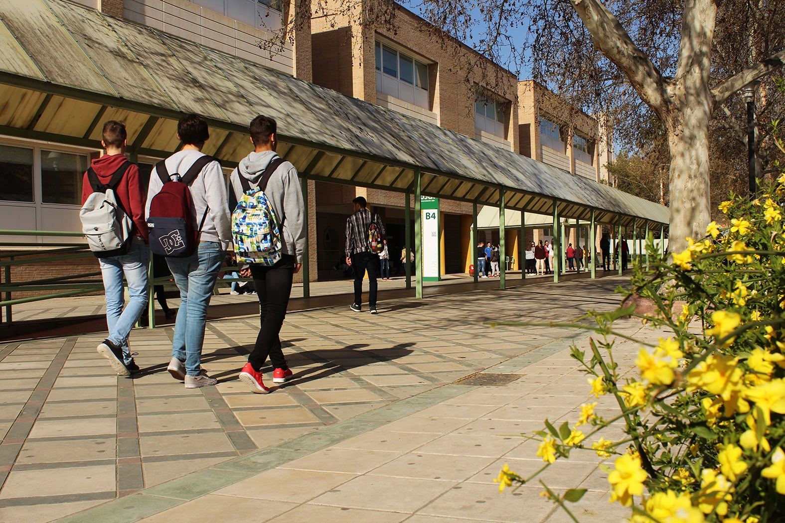 El campus de las Lagunillas, de la Universidad de Jaén capital