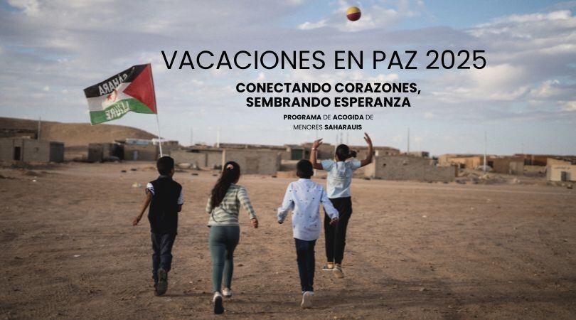 Se necesitan familias acogedoras para este verano en Vigo