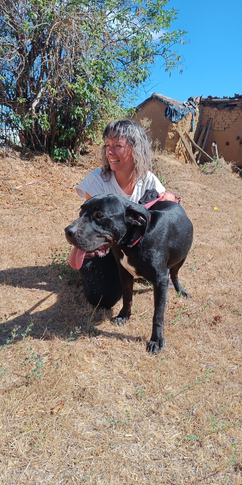 Txoko ha vuelto a casa