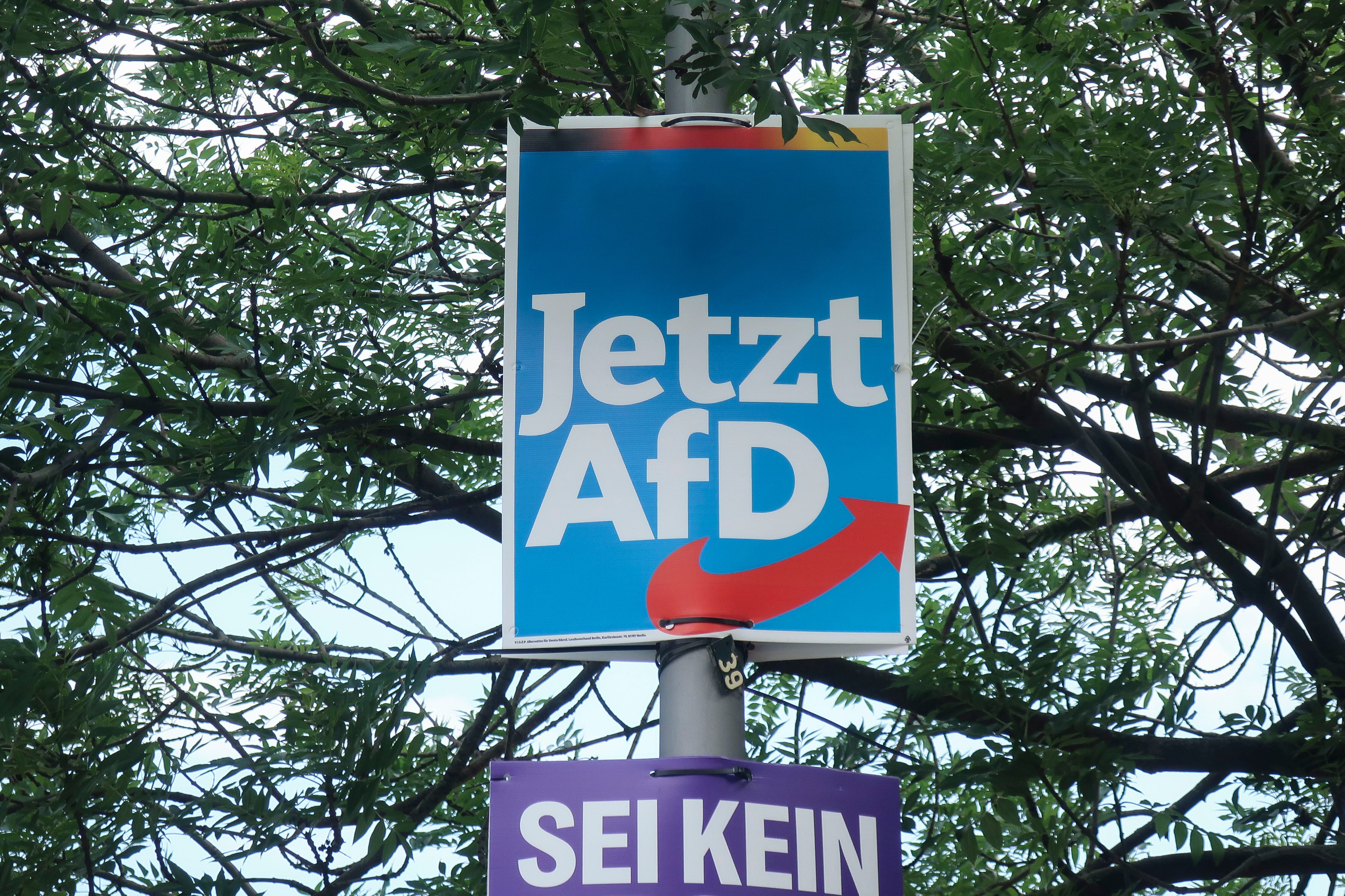 BERLÍN, 22/05/2024.- Con las elecciones europeas del próximo 9 de junio a la vuelta de la esquina, el empuje del partido de ultraderecha Alternativa para Alemania (AfD) en el país centroeuropeo se ha limitado, aunque los sondeos aún ven a esta formación como segunda fuerza. EFE/ José Manzaneque
