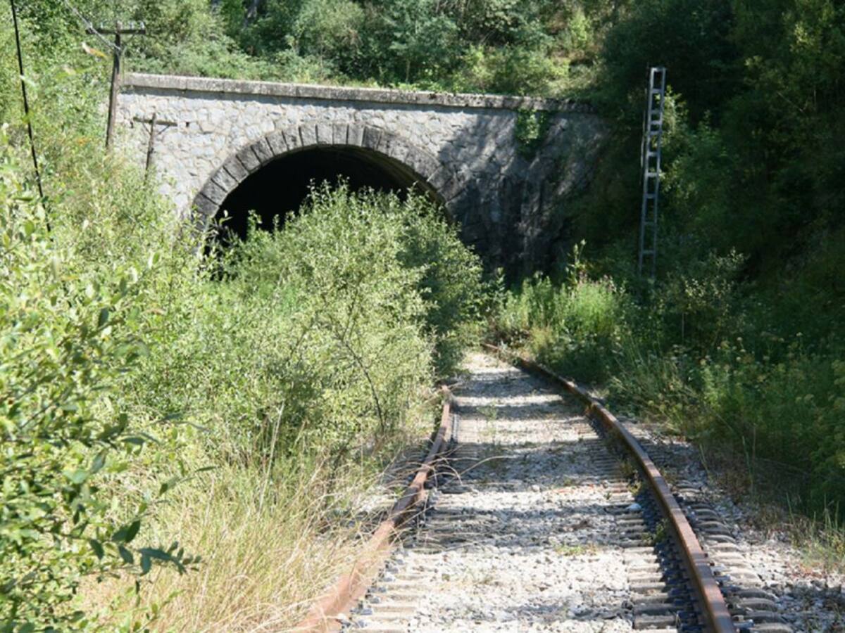 Urge invertir en el Directo