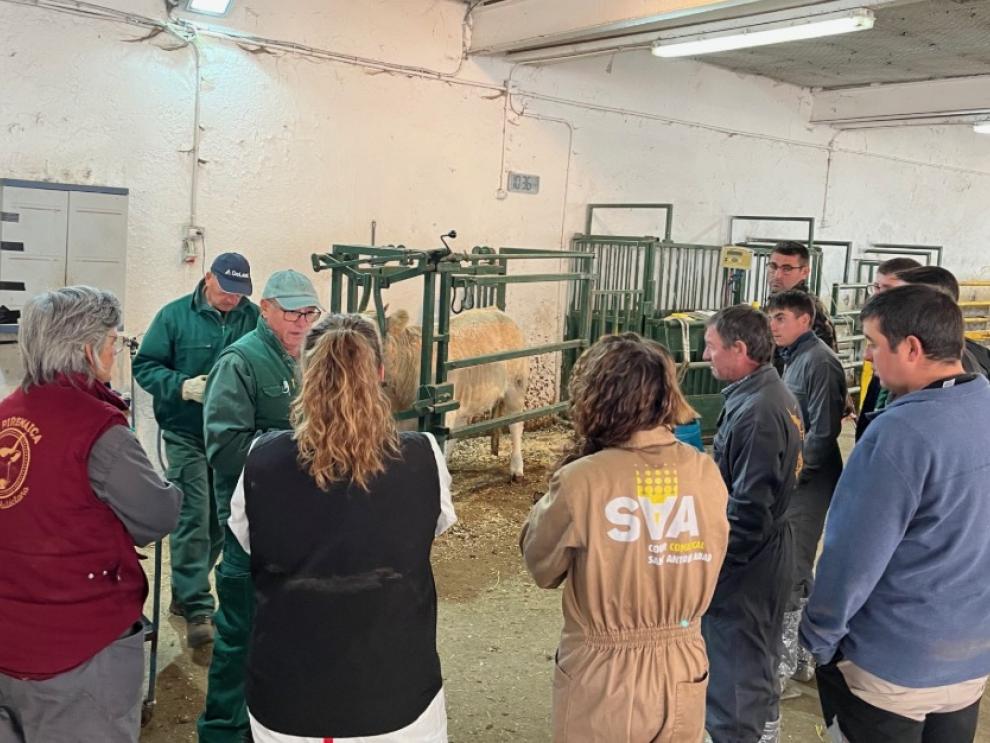 Momento de la visita