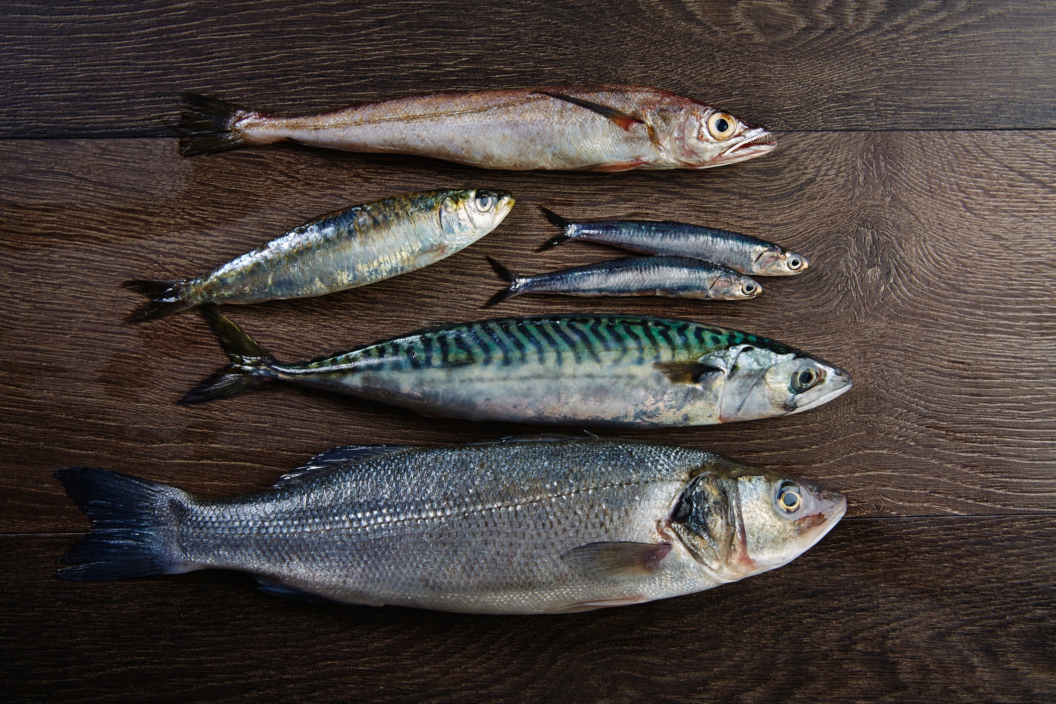 De arriba a abajo: pescadilla, sardina, boquerones, caballa y lubina.