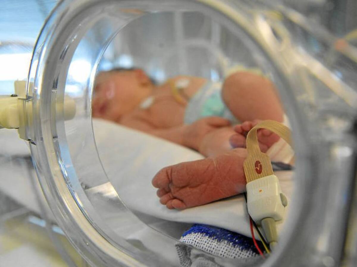 Los nacimientos crecen un 1,4% en 2014