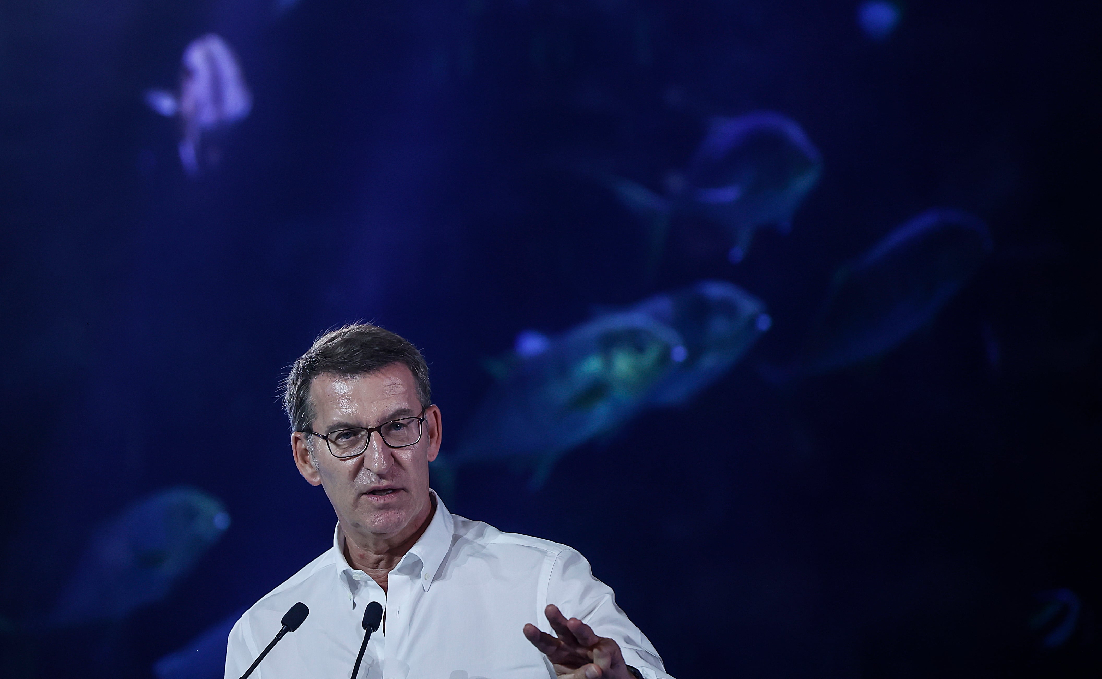 El presidente del PP, Alberto Nuñez - Feijóo, durante un acto previo a las elecciones generales del 23J celebrado en el Oceanogràfic de València