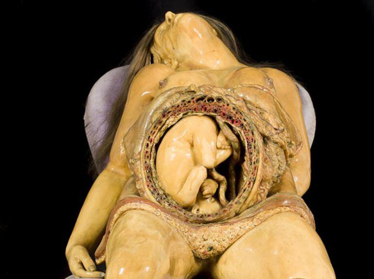 FOTOGALERÍA de las figuras de cera que pueden verse en la exposición Arte y carne, la anatomía a la luz de la Ilustración.