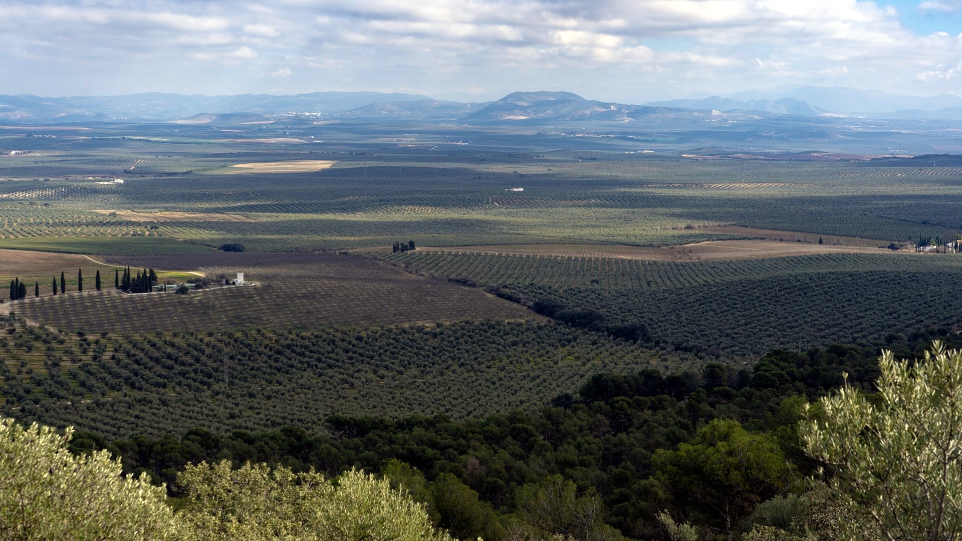 Explotaciones agrarias de Málaga