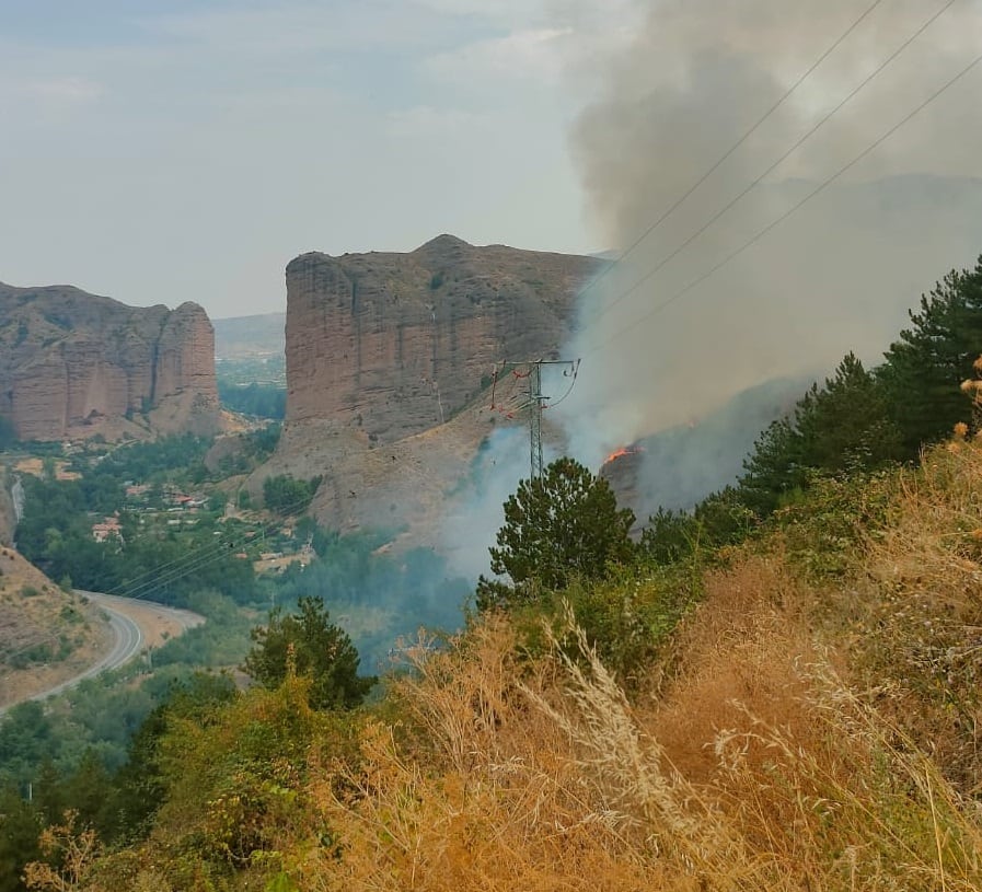 Incendio forestal en Viguera
