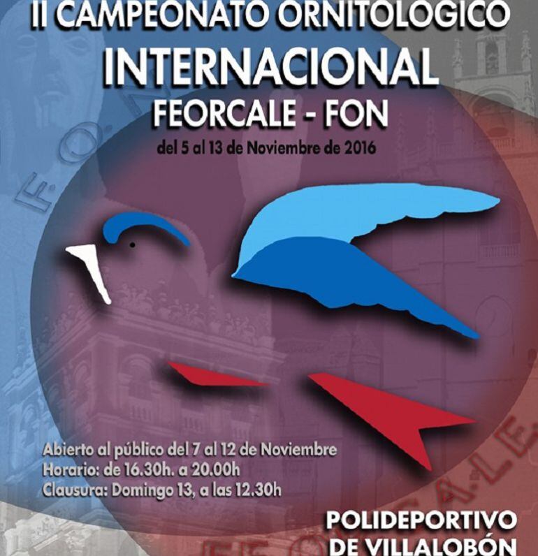 II Campeonato Ornitológico Internacional que se celebrará en noviembre en Villalobón