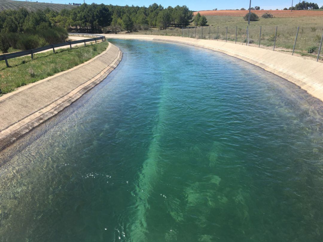 Canal del trasvase Tajo Segura