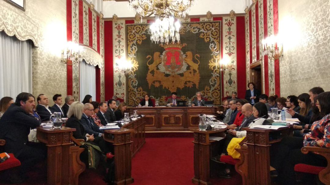 Imagen de la sesión plenaria de enero de 2019