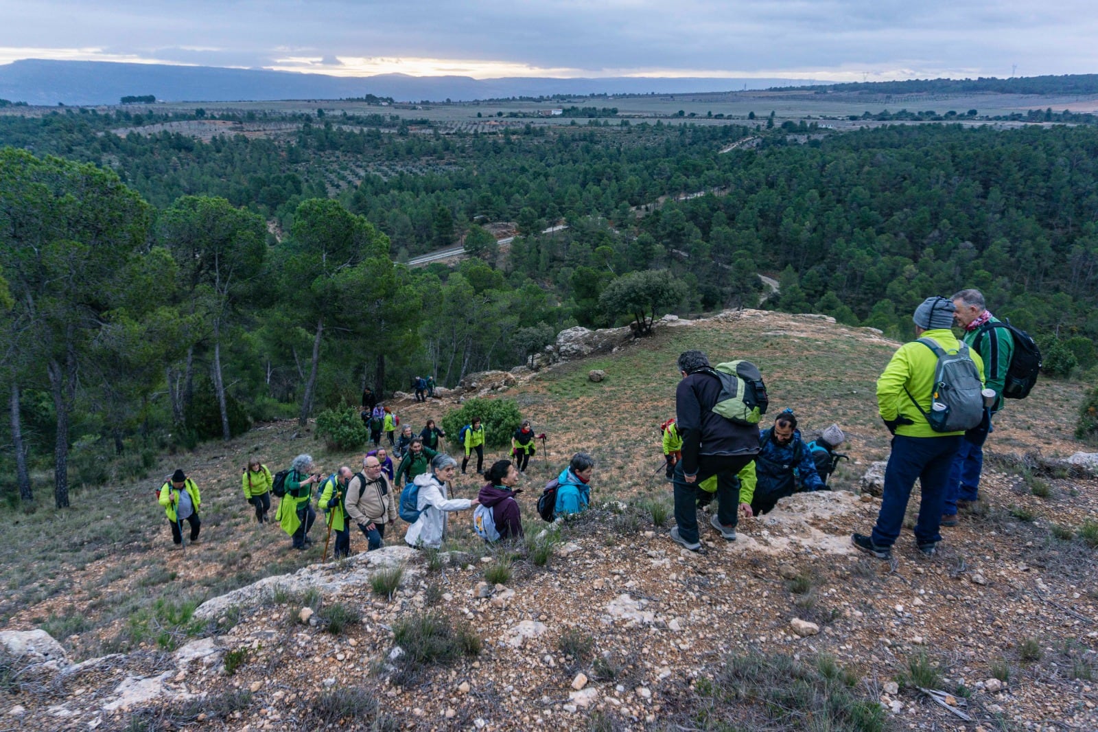 Aviana, en el Puntal de la Cruz, en Jarafuel