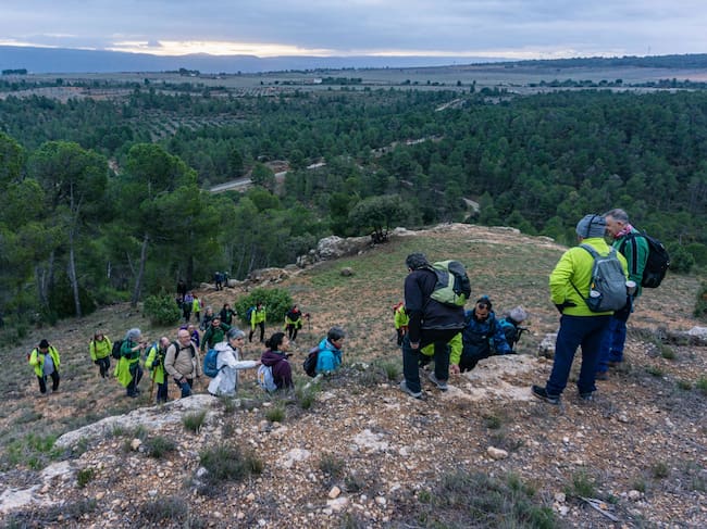 Aviana, en el Puntal de la Cruz, en Jarafuel