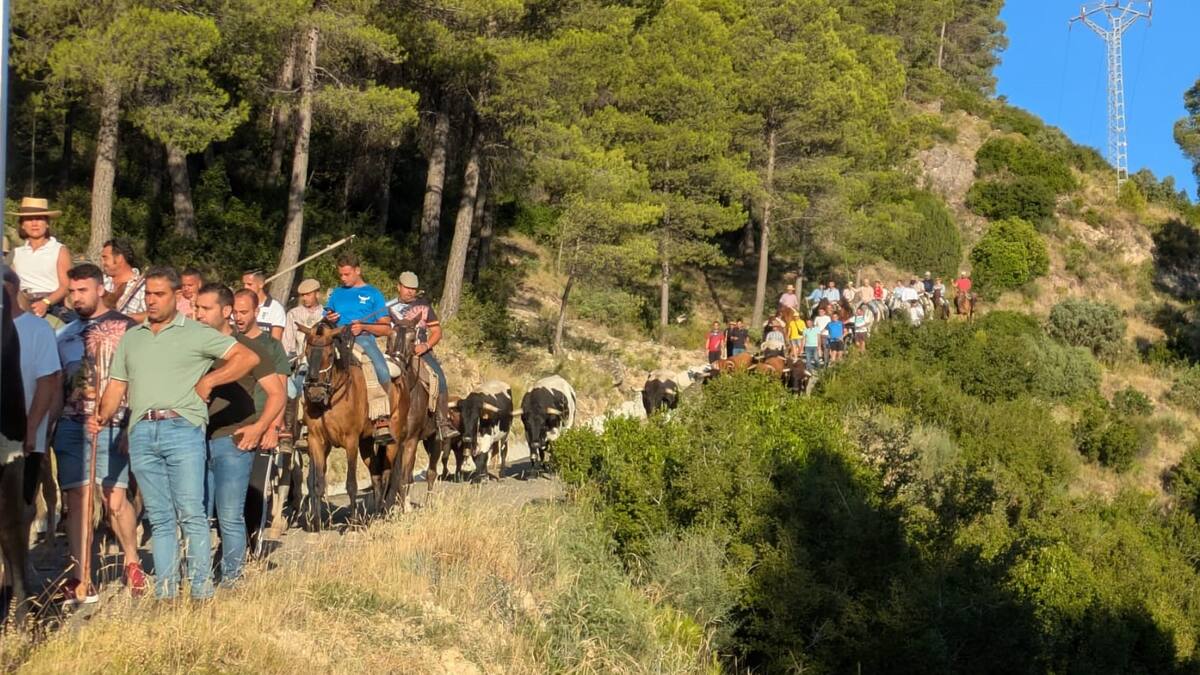 Entrevista a Juan Muñoz, presidente Mayordomía de los Encierros de Moratalla (Balance de los Encierros)