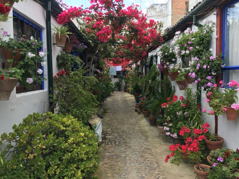 Uno de los patios de Córdoba.