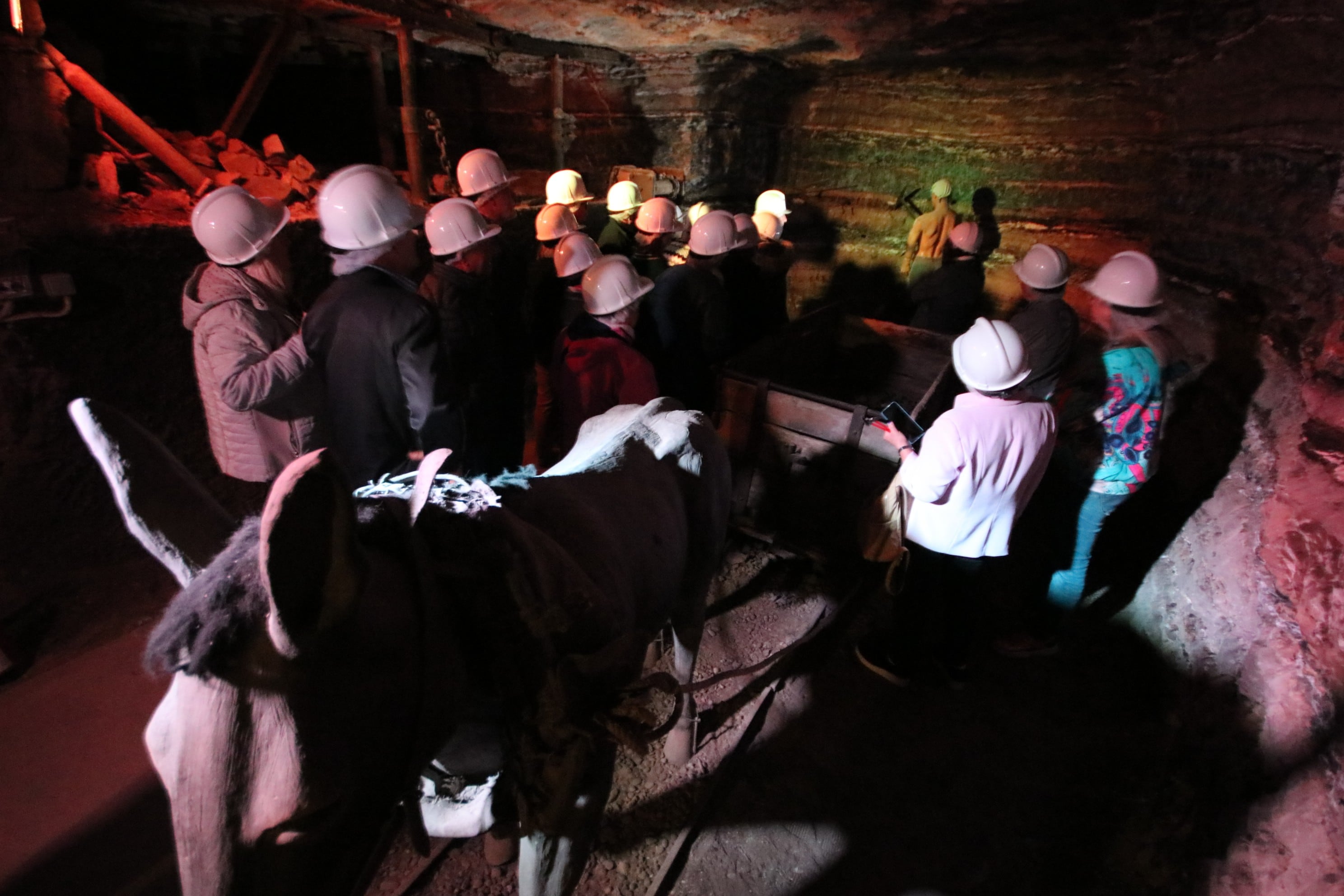 Los Museos de Mequinenza son un motor turístico y cultural