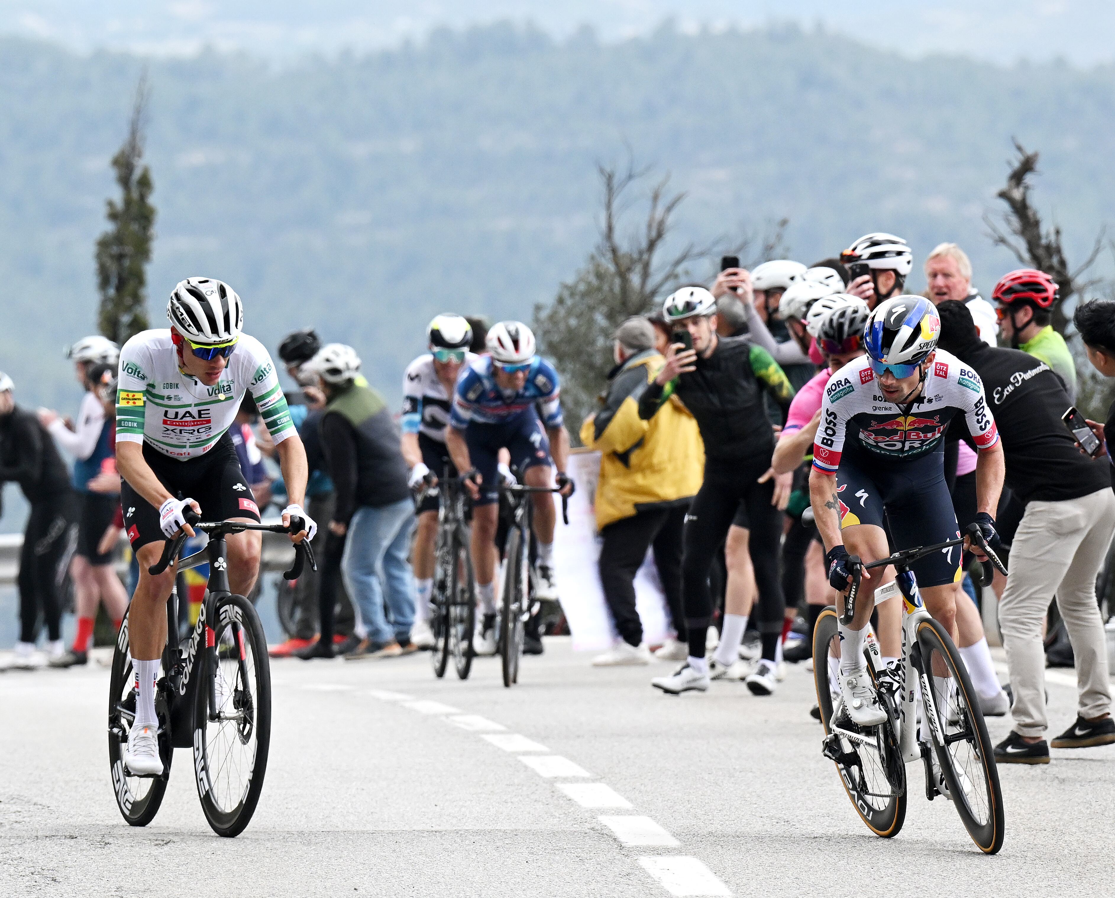 Juan Ayuso y Primoz Roglic, mano a mano en la Volta a Catalunya 2025