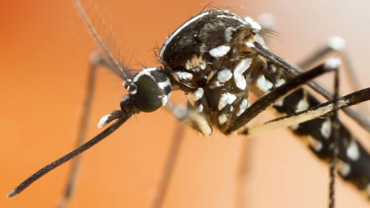 Entrevista matinal a José Carlos Vicente, director general Salud Pública