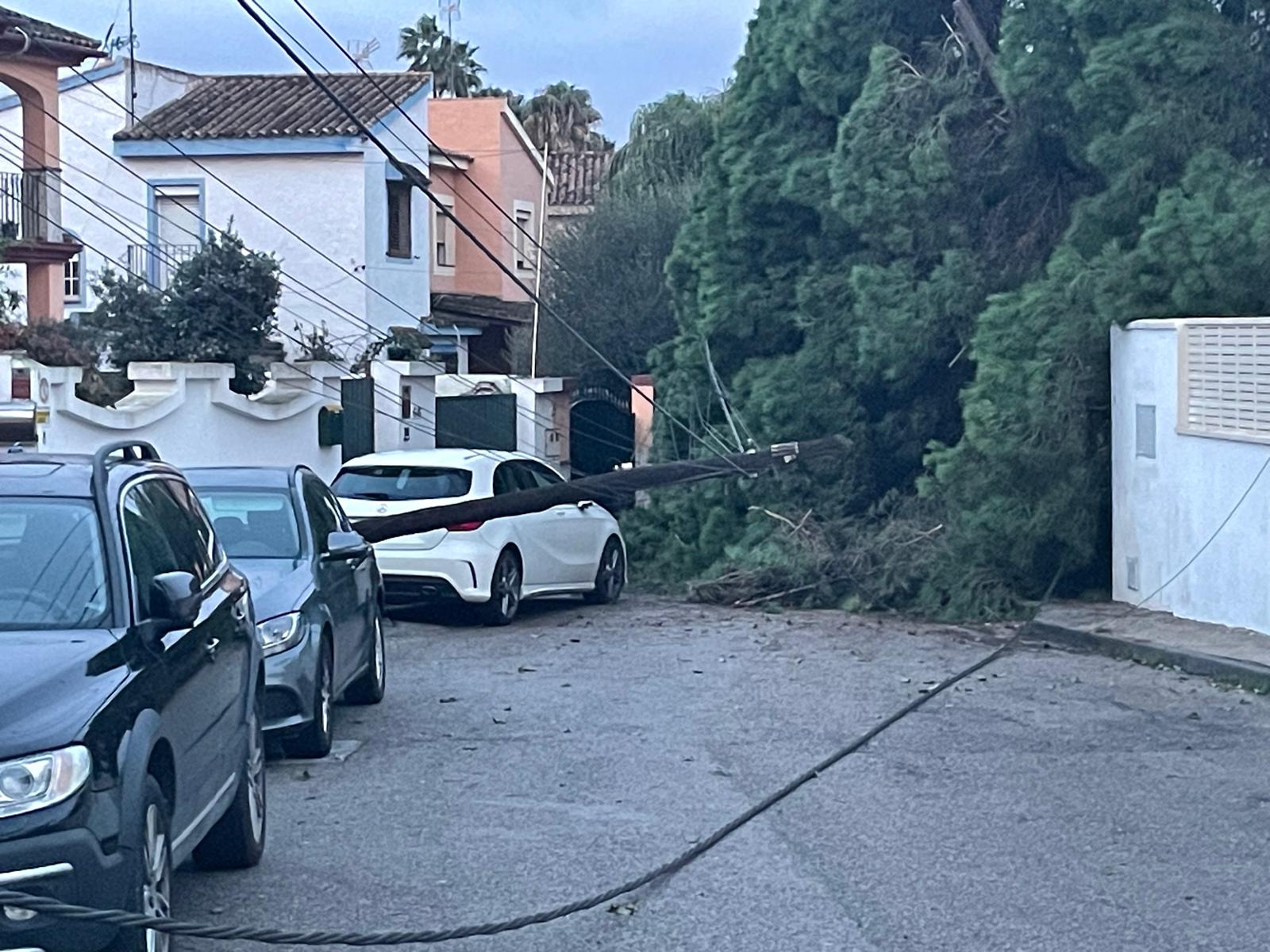 Poste caído en la calle Acacias.