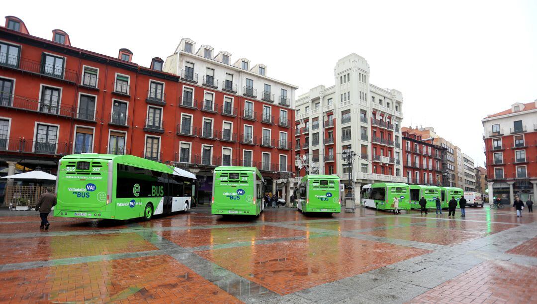 Autobuses urbanos de la flota de Auvasa