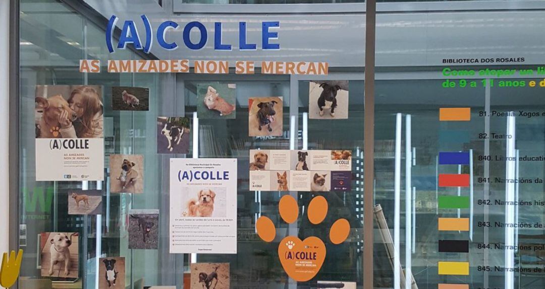 Campaña de acogida de animales