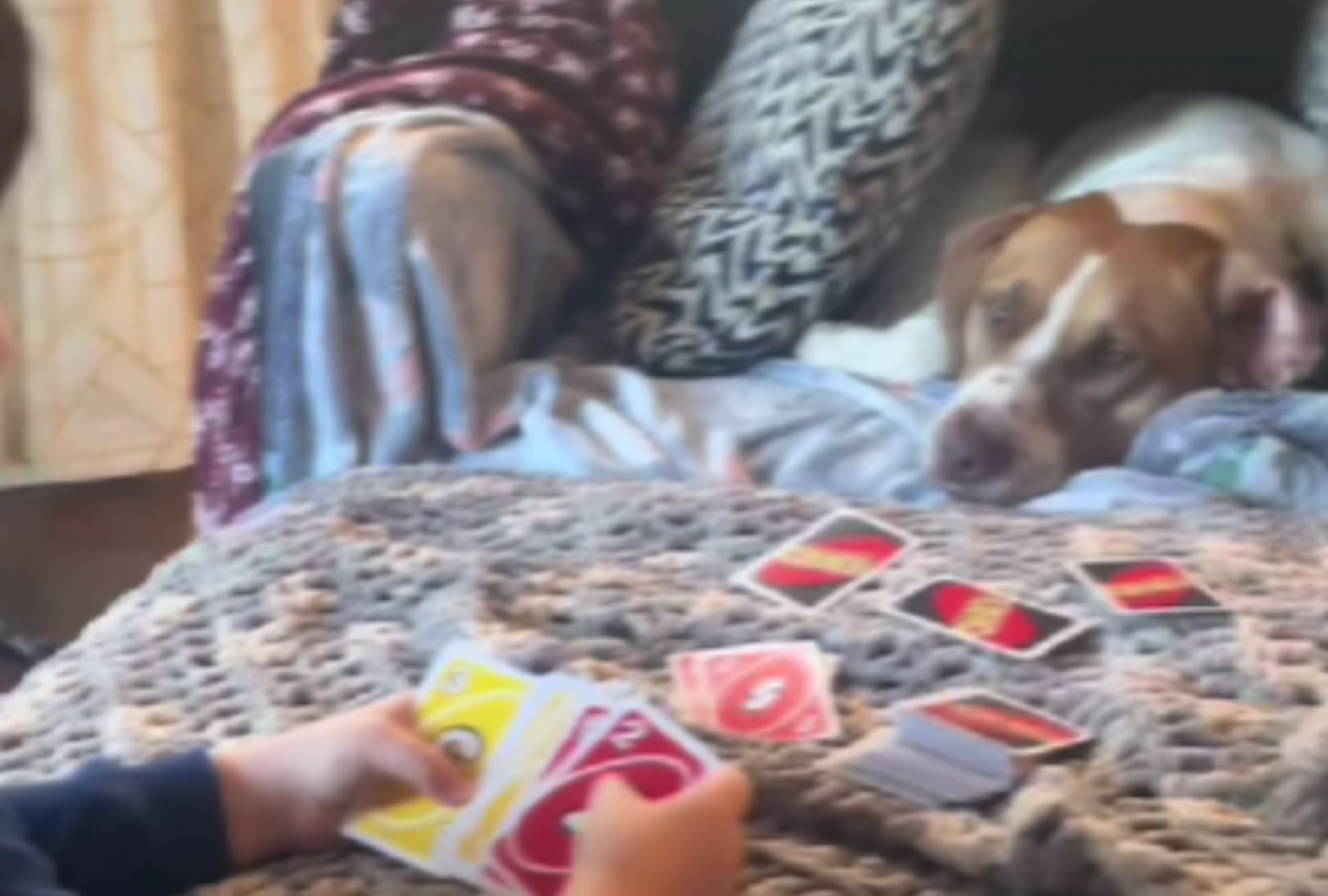 Un niño jugando con su perro al &#039;Uno&#039;.