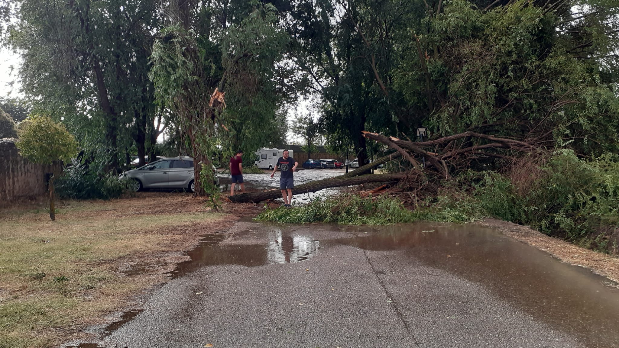 Así quedó el árbol sobre el acceso al convento