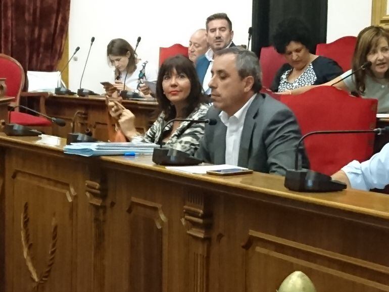 Mercedes Alonso, en el pleno municipal de Elche
