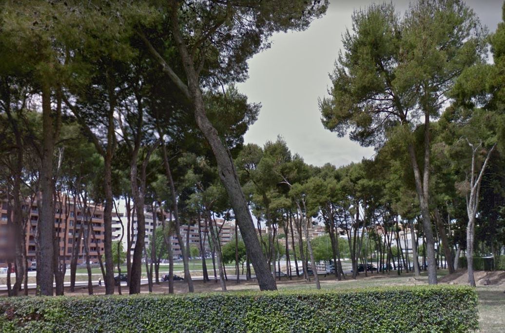 Zona arbolada en el Hospital Provincial de Huesca