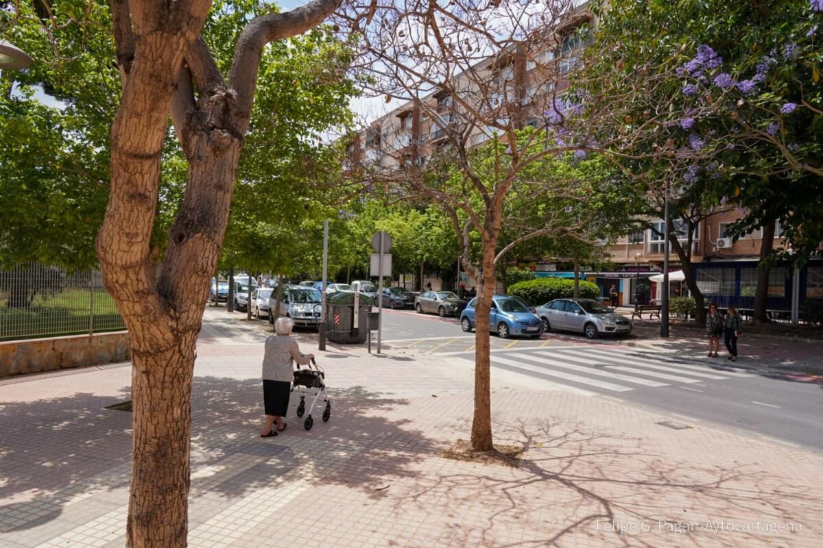 Jacaranda seca en Juan Fernández con Avenida de los Toreros de Cartagena