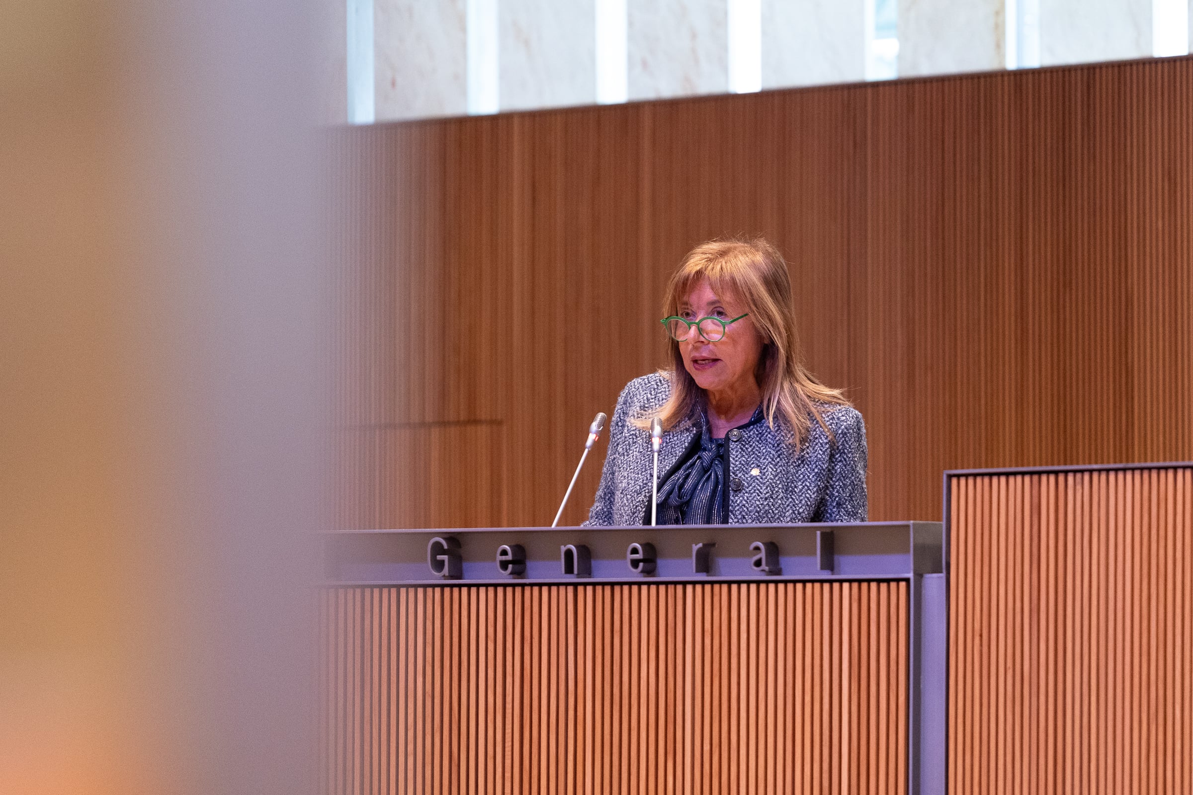 La ministra d'Habitatge, Conxita Marsol, durant la sessió de debat de les esmenes a la totalitat a la llei de descongelació dels lloguers