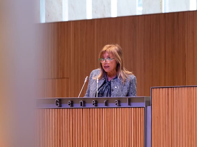 La ministra d'Habitatge, Conxita Marsol, durant la sessió de debat de les esmenes a la totalitat a la llei de descongelació dels lloguers