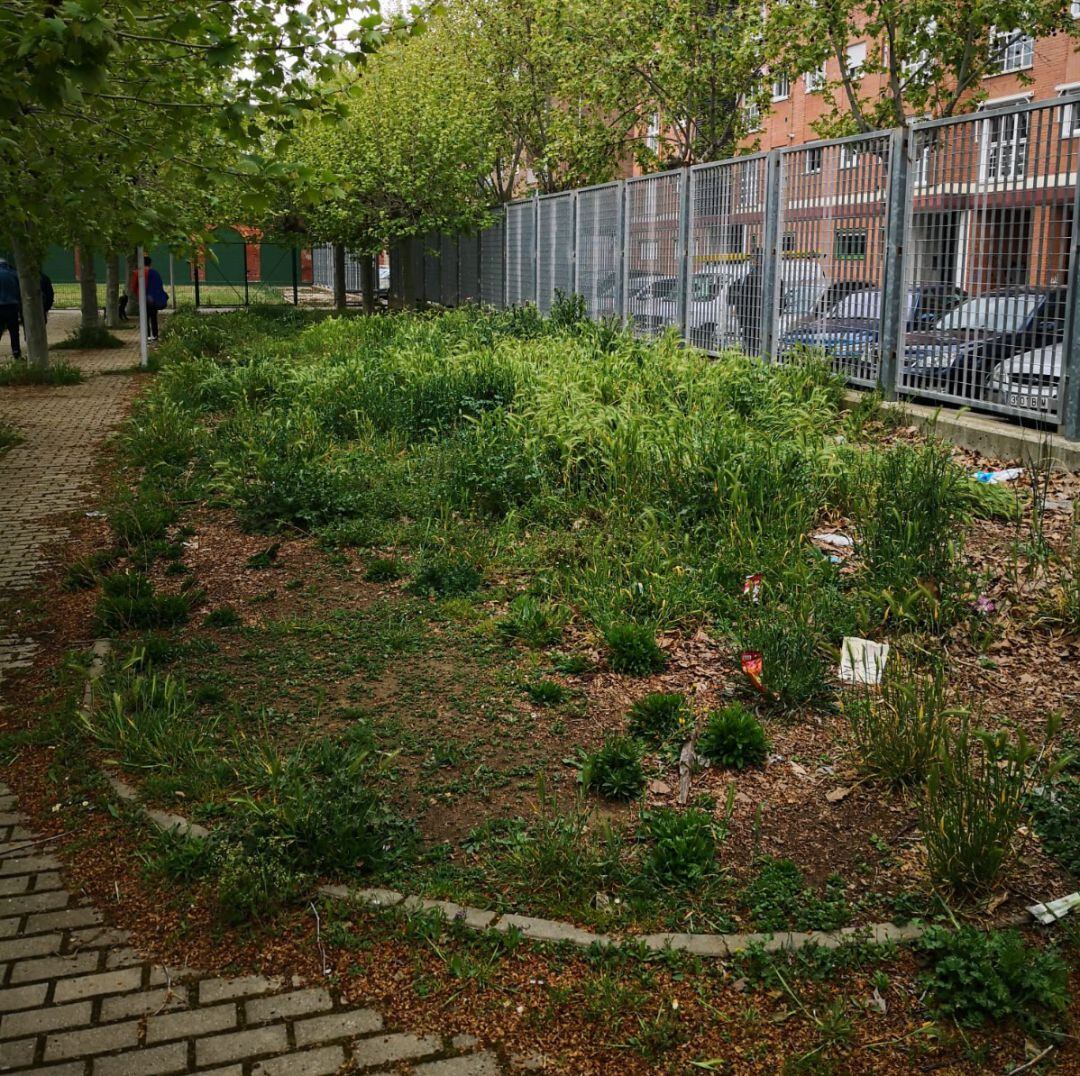 IU denuncia el pésimo estado del entorno de las pistas deportivas de San Telmo