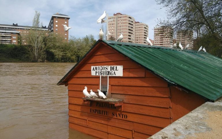 Imagen de la crecida del Pisuerga