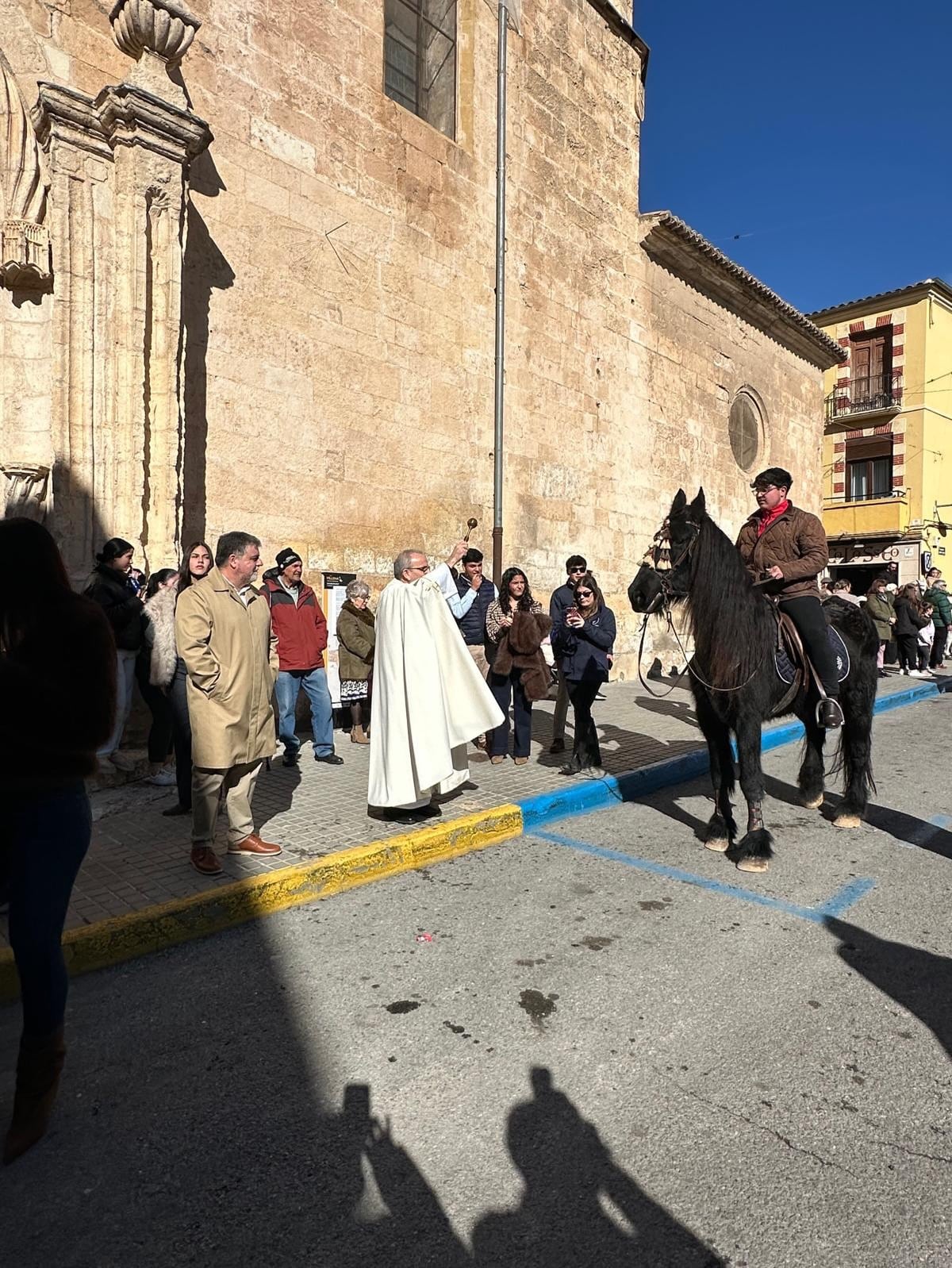 Desfile y bendición animales San Antón Villena