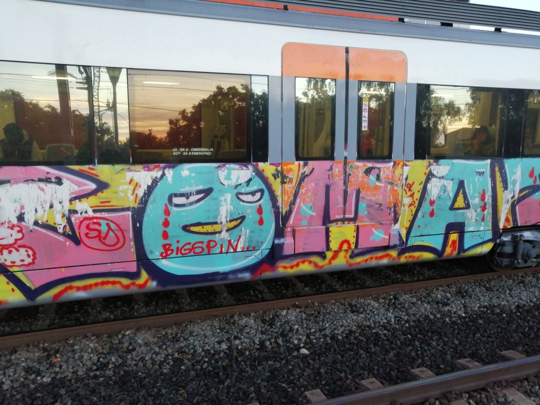 Imagen de archivo de pintadas realizadas en un tren.