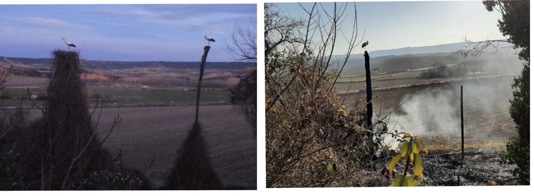 Antes y después del incendio/DALMA