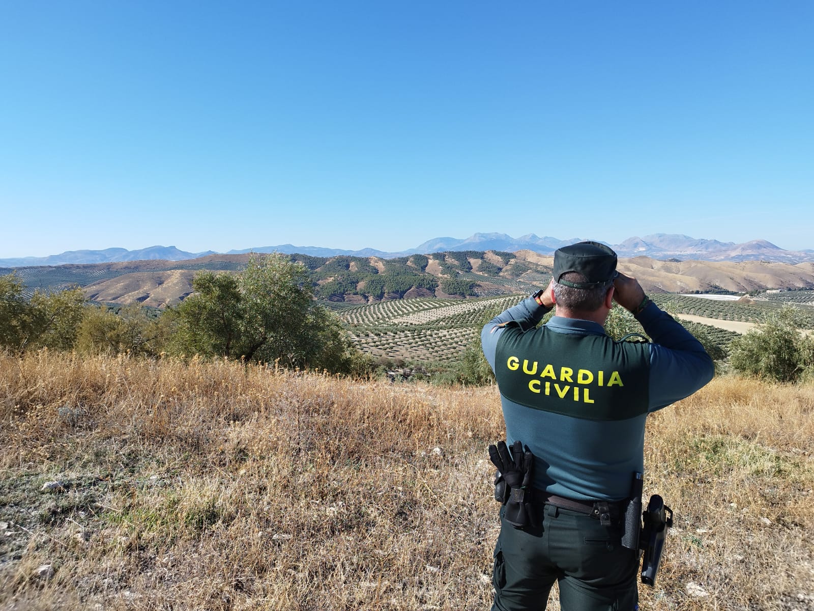 JA01. JAÉN, 21/10/2024.-La Guardia Civil mantiene un dispositivo especial