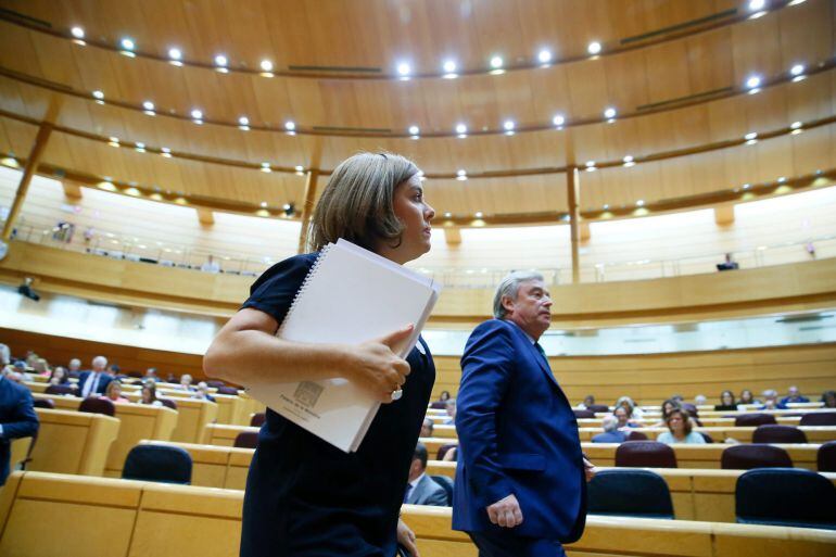 GRA264. MADRID, 01/09/2015.-La vicepresidenta del Gobierno, Soraya Sáenz de Santamaría, en el Senado donde esta tarde se celebra la sesión de control al Gobierno.- EFE/JUANJO MARTÍN
