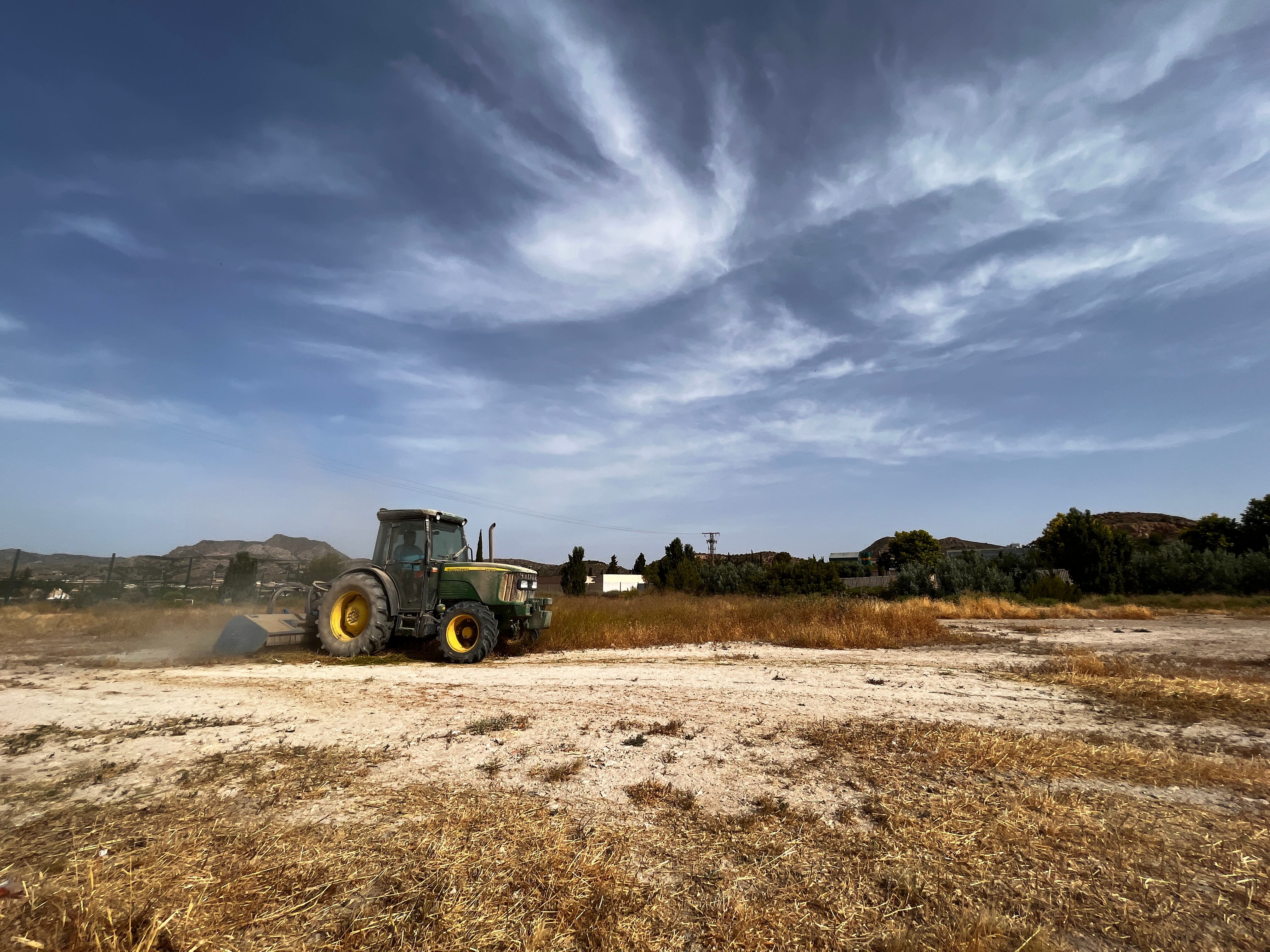 Actuación de desbroce en Petrer
