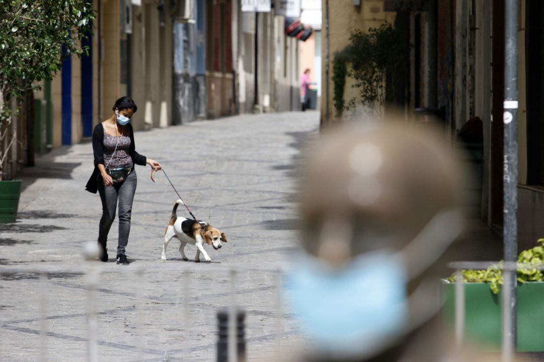 Una señora pasea a su perro con mascarilla, en una imagen de archivo