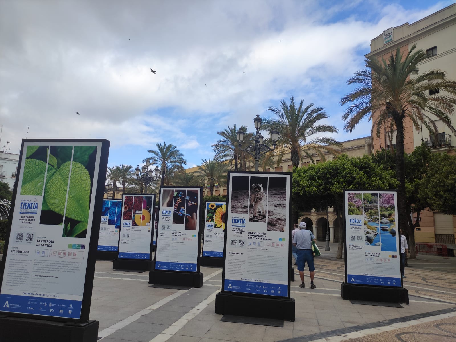 Los paneles se han ubicado en la plaza del Arenal